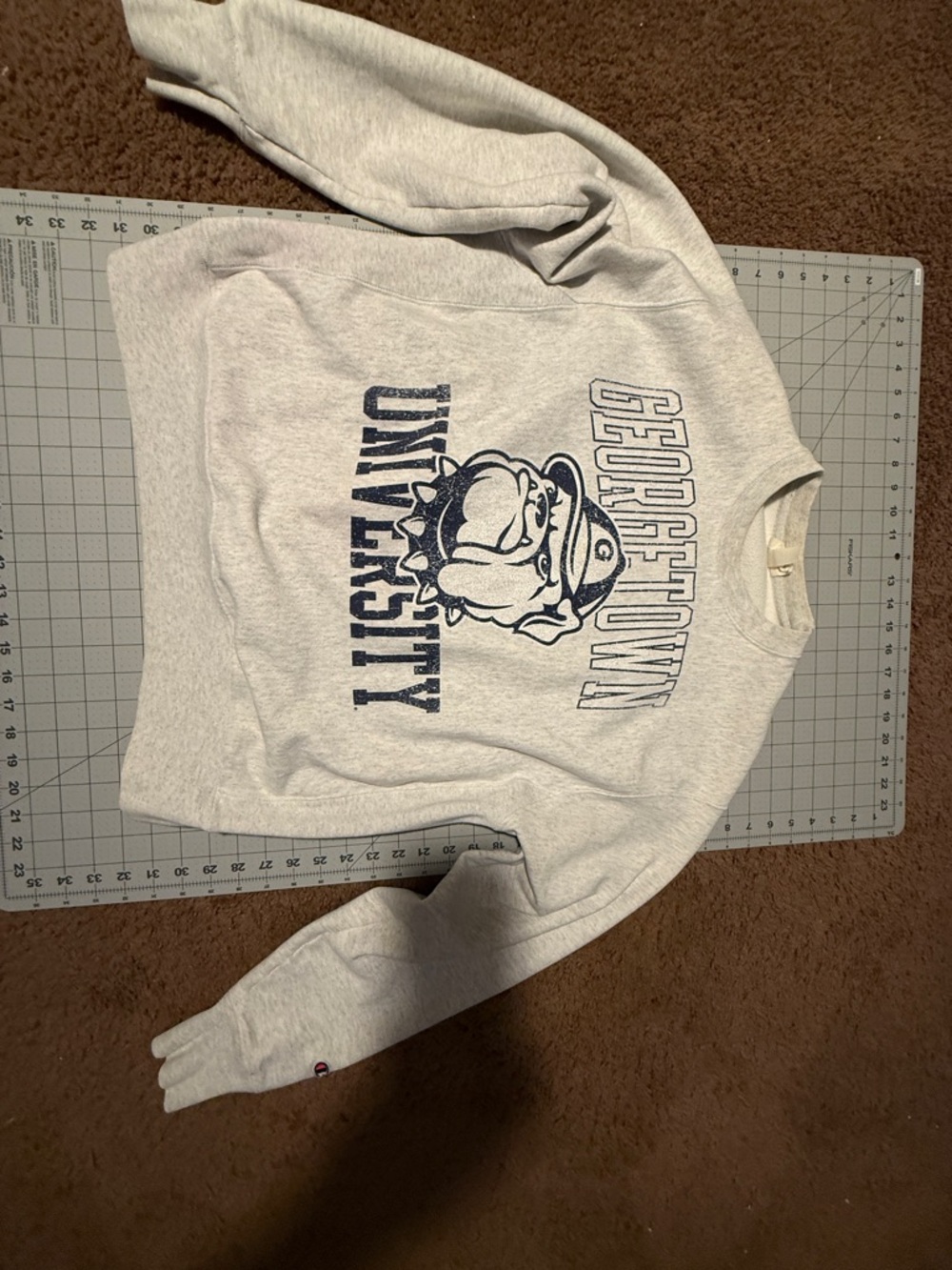 Champion Georgetown University Grey Bulldog Crewneck Sweatshirt Vintage